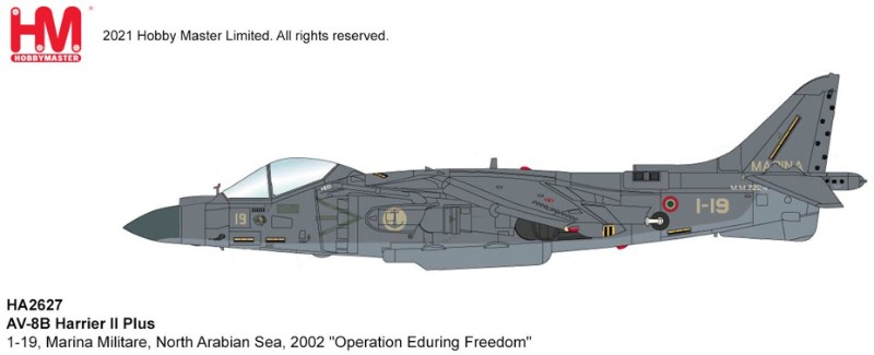 Harrier II AV-8B - Marina Militare (Italian Navy), North